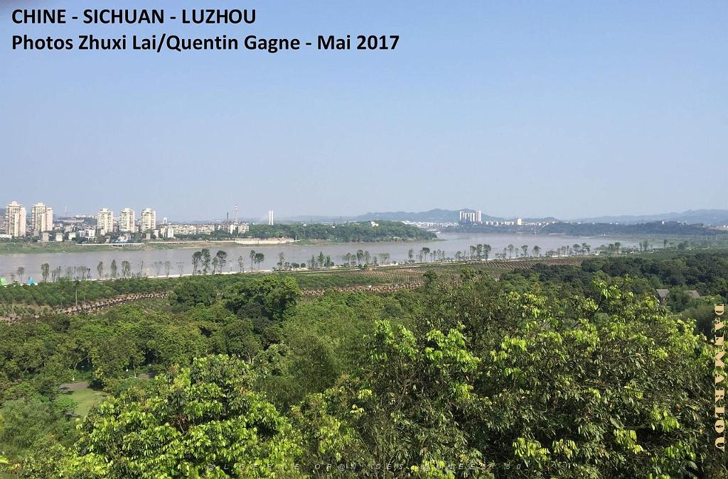 Luzhou 183.JPG